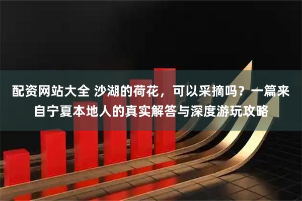 配资网站大全 沙湖的荷花,可以采摘吗?一篇来自宁夏本地人的真实解答与深度游玩攻略