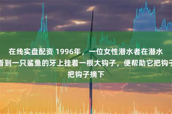 在线实盘配资 1996年，一位女性潜水者在潜水时，看到一只鲨鱼的牙上挂着一根大钩子，便帮助它把钩子摘下